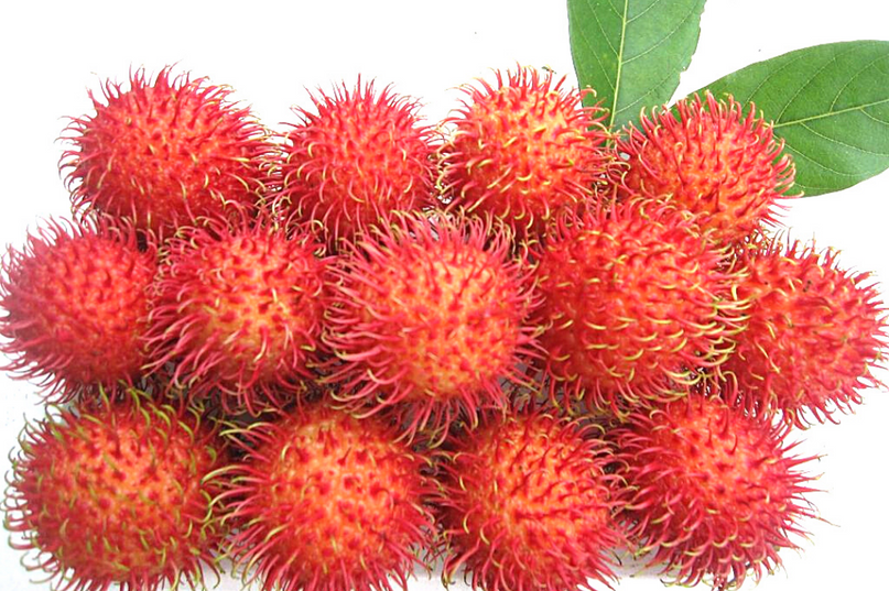 Quả Chôm chôm Quả Chôm chôm