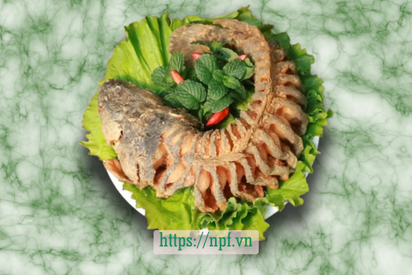 Cá quả chiên xù Cá quả chiên xù
