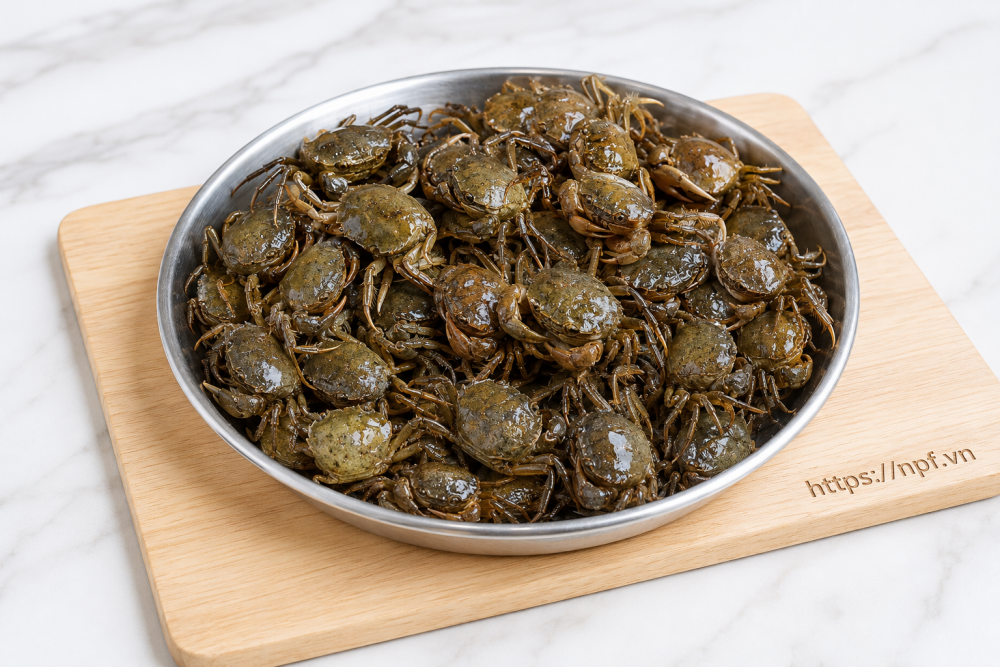 Cua đồng Cua đồng