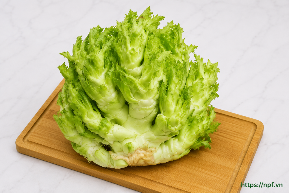 Rau mầm đá Rau mầm đá
