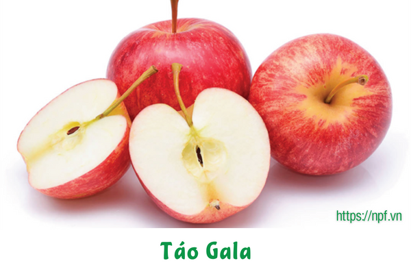 Táo Gala