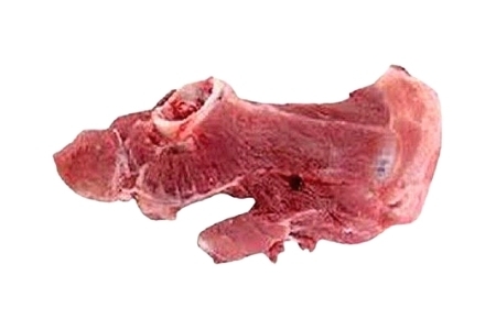xương cục xương cục