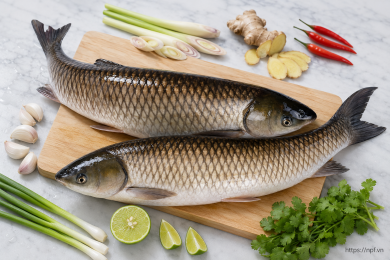 Cá trắm bỏ đầu (Size >5kg/con)