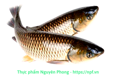 Cá trắm (Size 3-4 kg/con)