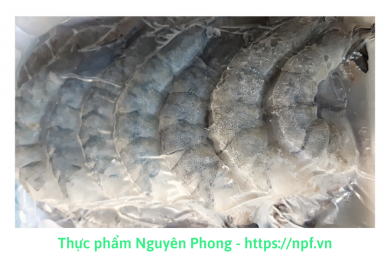 Tôm nõn tươi to (500g) Sầm Sơn