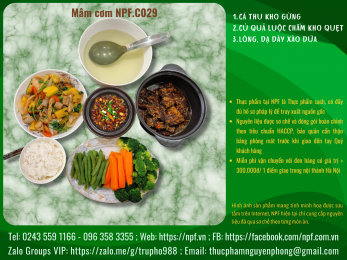 Mâm cơm NPF.C029