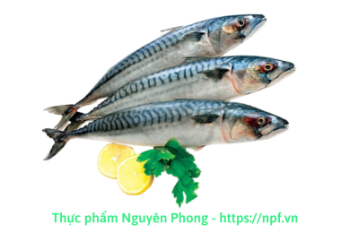 Cá nục gai (tươi)